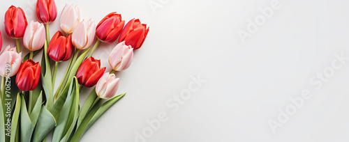 Bouquet of Red and White Tulips on White Background