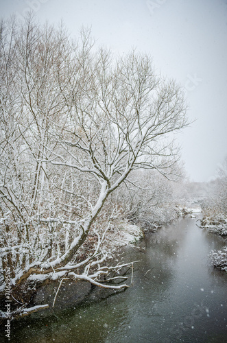 The Conewango Creek in Sugar Grove, Pennsylvania, USA photo