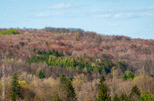 Forest Overlook at Sugar Grove, Pennsylvania