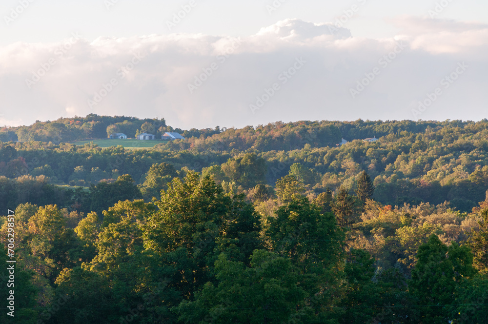 Forest Overlook at Sugar Grove, Pennsylvania