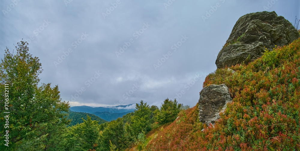 Huge boulders among the reddened blueberry leaves. Below you can see forested hills. Borzhava mountain range in autumn