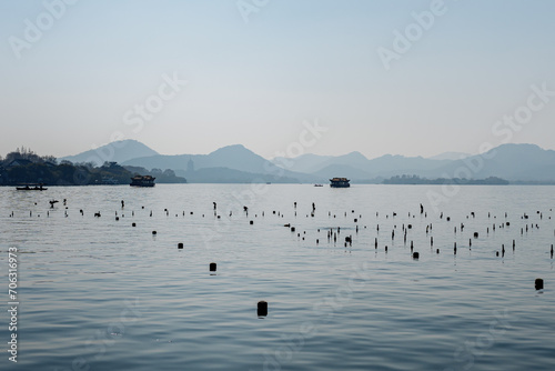 ducks on the lake