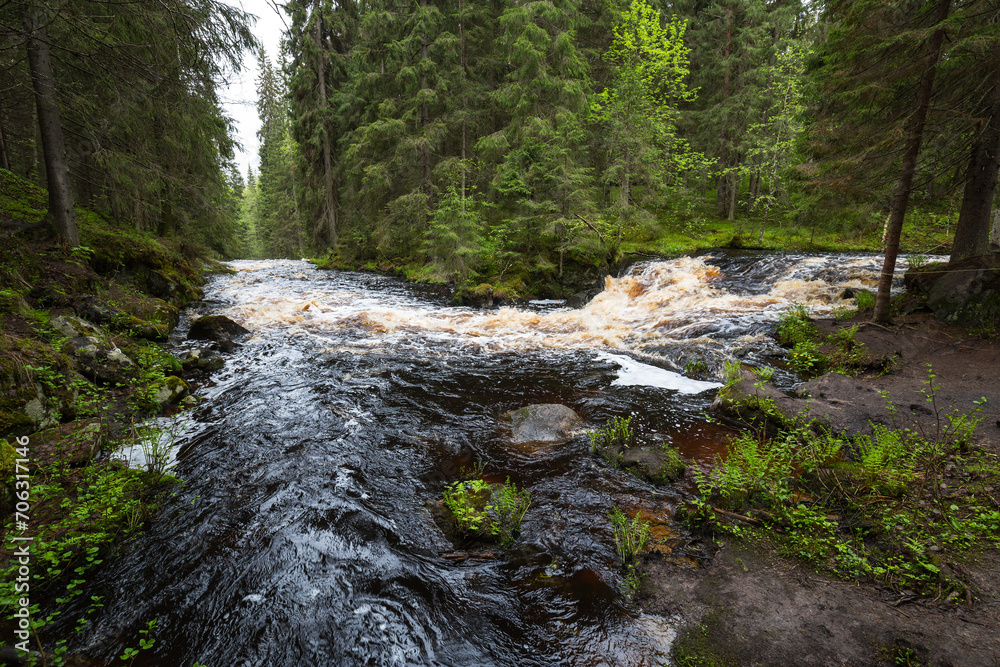 View of the river in Karelia View of the river in Karelia