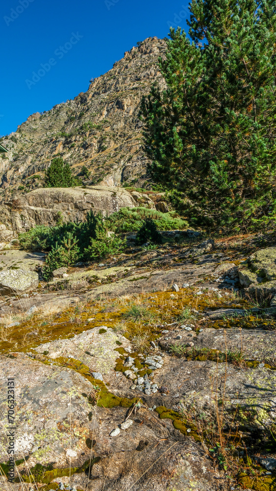 Aiguestortes National Park, Catalonia, Spain, Europe.