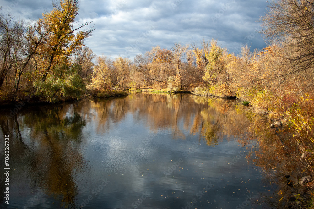 Autumn forest on the lake coast. Autumn scenery landscape Autumn forest on the lake coast. Autumn scenery landscape