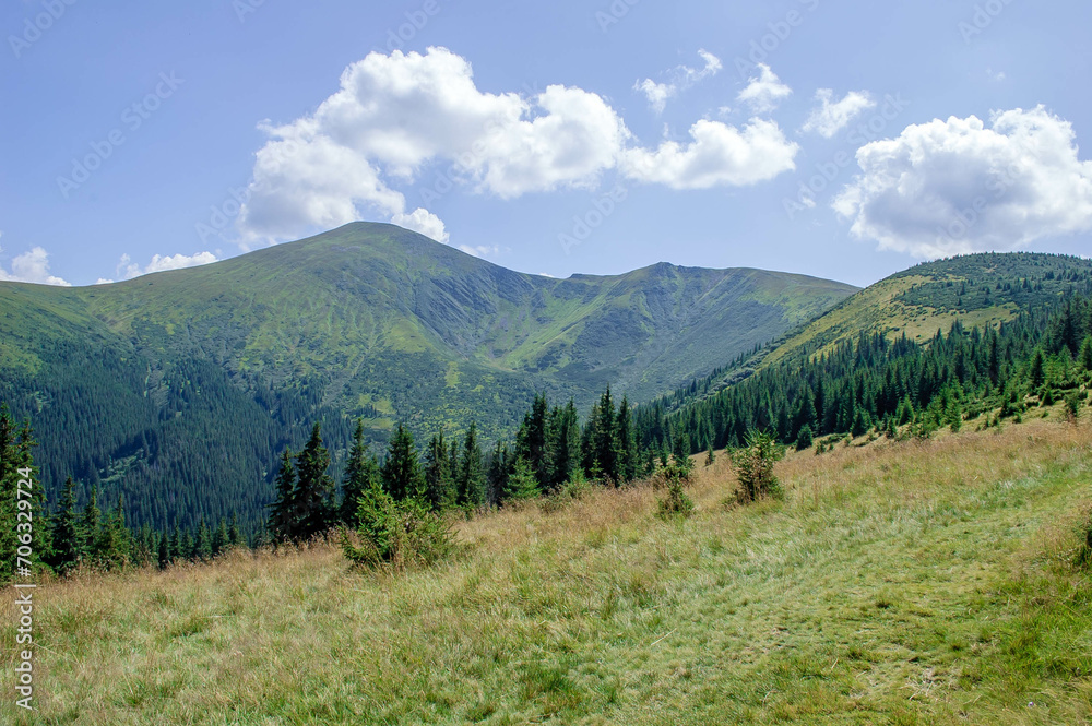 Fototapeta premium Ukrainian Carpathian Mountains. Mount Hoverla.