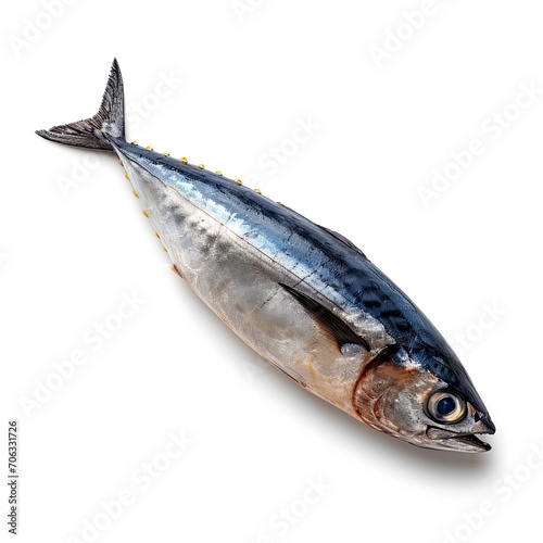 Raw Mackerel Tuna Pindang Tongkol, White Background, Illustrations Images photo