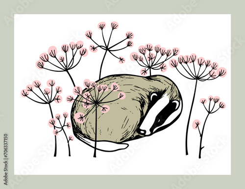 Vector card with hand drawn sweet badger sleeping in thickets of wildflowers. Perfect design elements, ink drawing, wild animal illustration