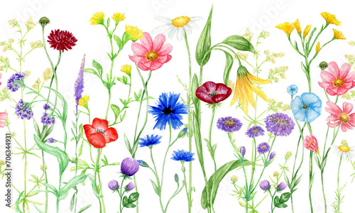 Watercolor Wildflowers Seamless border, summer meadow flowers hand painted Botanical illustration, png floral border isolated on transparent background 