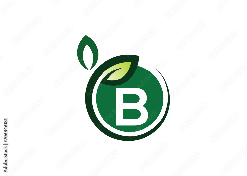 Letter B Green leaf logo design vector template. Letter B Nature Growth Leaf vector logo Letter B Green leaf logo design vector template. Letter B Nature Growth Leaf vector logo