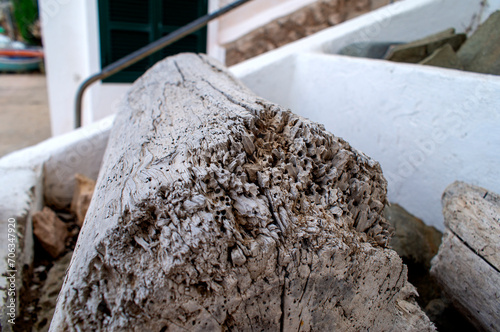 Photography Wood degraded by the sea.