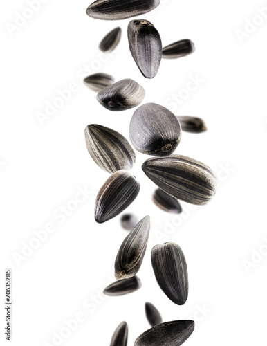 Sunflower seeds fall in space. Volumetric back light. Isolated on white.