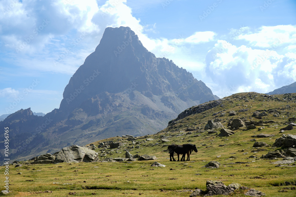 background of alpine mountain peak with horses in pyrenees