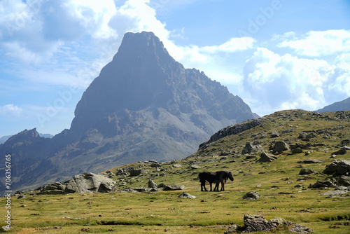 background of alpine mountain peak with horses in pyrenees