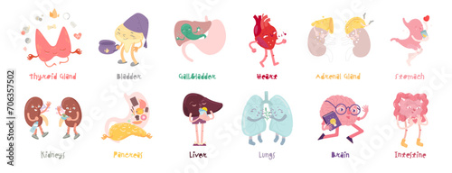 Human body organs character set in funny cartoon style. photo