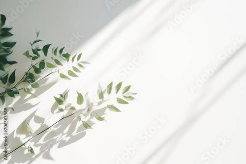 Simplicity and elegance of a plant with shadows cast in a tranquil environment.