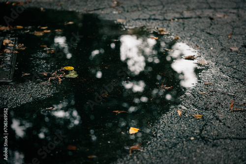 Autumn puddle reflecting the surrounding trees on a wet asphalt surface © Wirestock