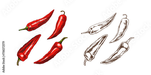 Organic food. Hand drawn retro style colored and monochrome vector sketch of chilli peppers. Doodle vintage illustration. Engraved image.