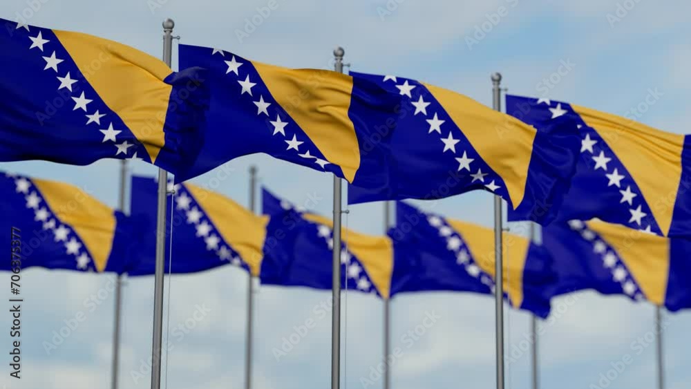 Bosnia and Herzegovina many flags waving together in the wind, seamless looped video