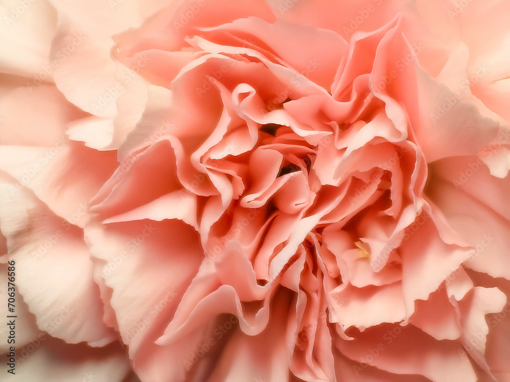 Beautiful summer flowers as background. Blossoming delicate roses on blooming flowers festive background, pastel and soft bouquet floral card. Beautiful summer flowers as background. Blossoming delicate roses on blooming flowers festive background, pastel and soft bouquet floral card.