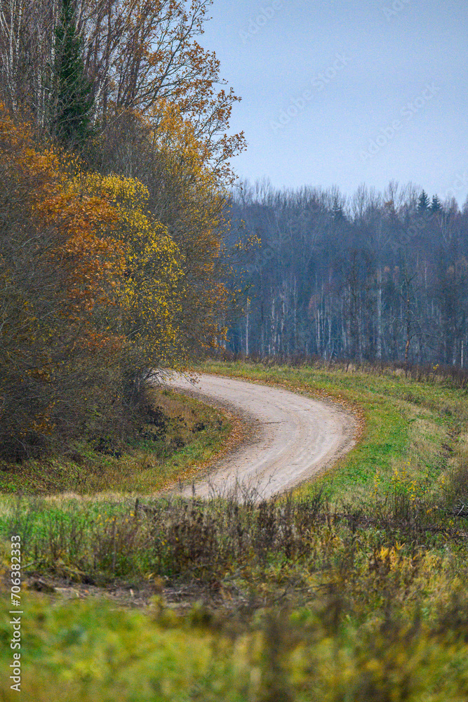 Fototapeta premium gravel countryside road in late autumn