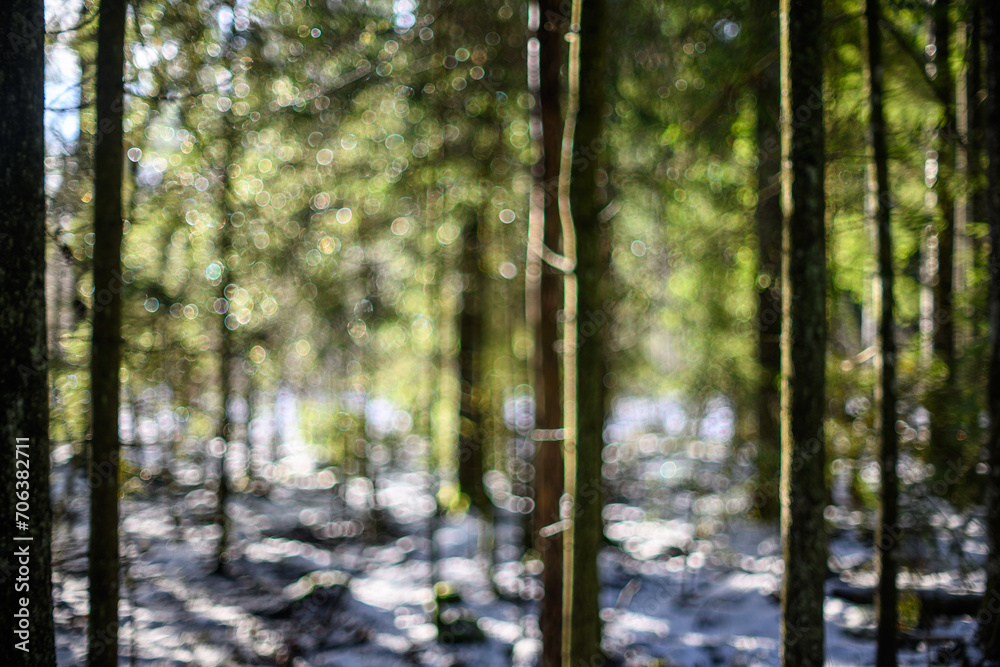 Fototapeta premium winter solstice blur background with bokeh rings