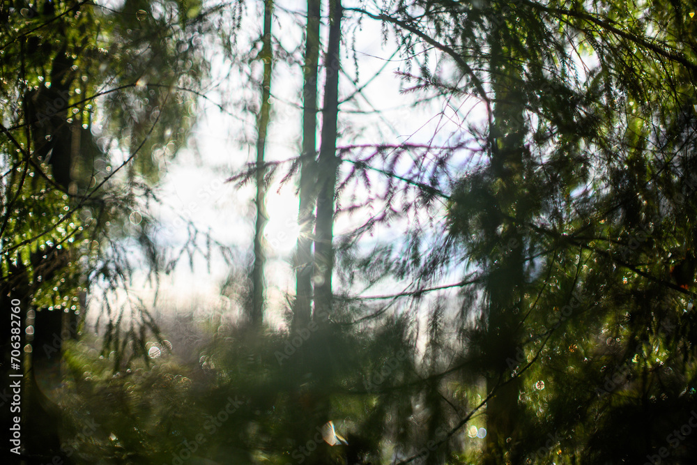 winter solstice blur background with bokeh rings