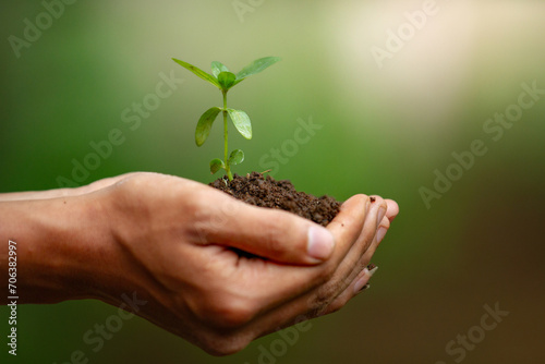 Side view of Human hands holding small
tree with soil, tangan manusia lagi memegang tanah dan tumbuhan kecil dari samping  photo