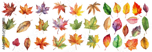 Watercolor autumn leaves, cut out - stock png.