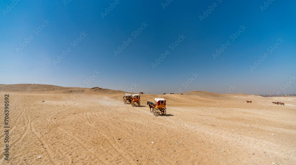 horse cart in egypt desert