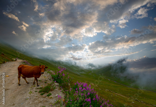 Amlakit Plateau Ka  kar Mountains National Park