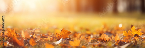 Golden Autumn Leaves Background