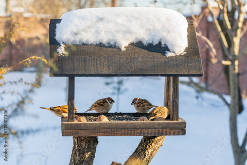 Billede på lærred Wooden bird feeder on winter garden. Sparrows in feeder, close up