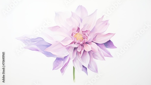 pink flower on a white background