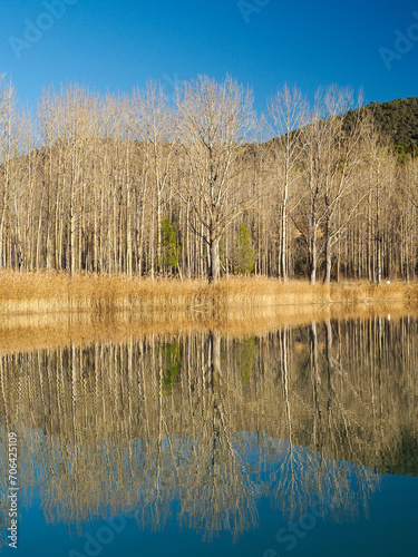 Reflejos de árboles en las aguas serenas del río en invierno