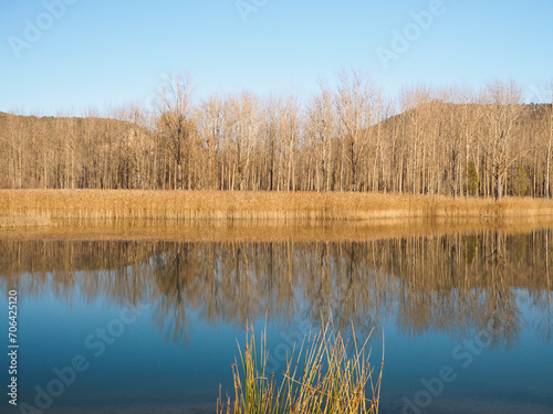 Reflejo de árboles en el agua del río en invierno
