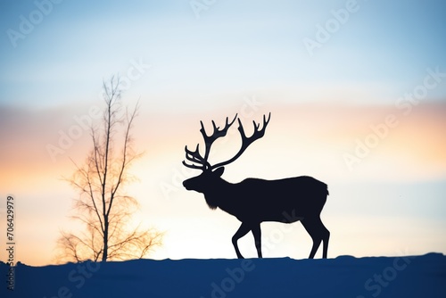 lone caribou silhouette against arctic sunset