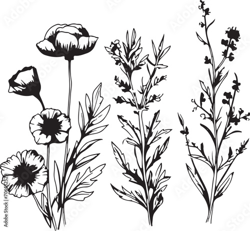 line art of botanical flowers floral collection generative ai