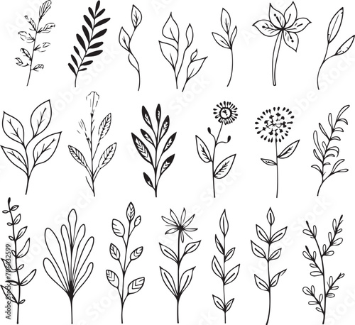 line art of botanical flowers floral collection generative ai