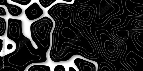 Abstract white paper cut background with lines. Background of the topographic map. black and white background. Luxury geometric cut paper black background with silver elements floral wall texture