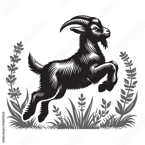 The little goat is jumping. Beautiful vintage engraving vector illustration. Black outline