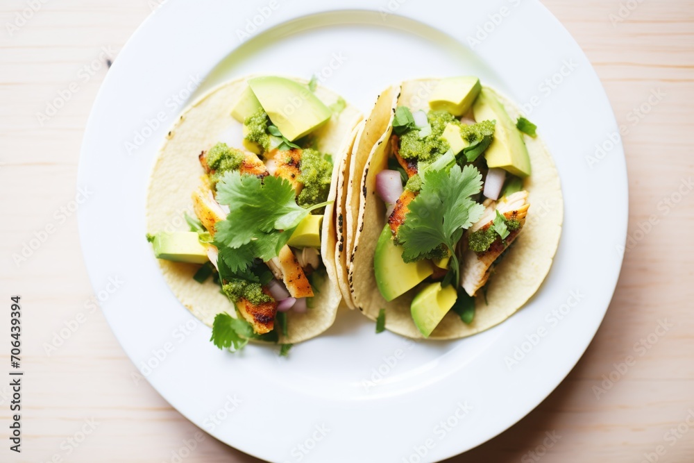 tacos with grilled chicken, avocado, and fresh cilantro on a white plate tacos with grilled chicken, avocado, and fresh cilantro on a white plate