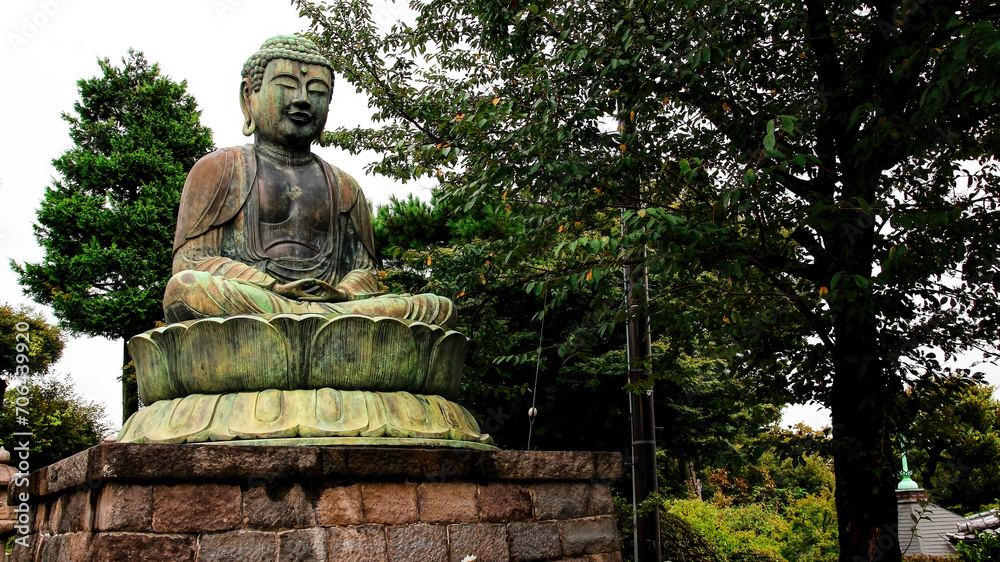 A bronze statue of Dainichi Norai, the Great Sun Buddha, near the Gokoku-ji Buddhist Temple. Tokyo, Japan