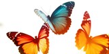 Colorful butterflies flying through the air. Perfect for nature and wildlife enthusiasts