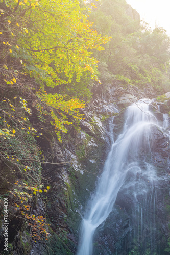 picturesque landscapes with autumn colors and changing leaves of the trees waterfalls and sun light © Aytug Bayer