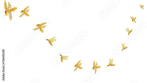 Golden Flying Fireflies. Isolated flying glowworm on transparant background  photo