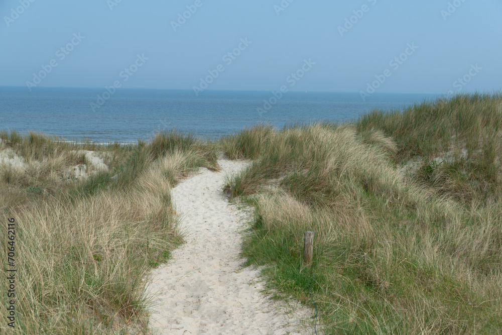 Pfad zwischen den Dünen in Richtung Strand, Nordseeinsel Langeoog Pfad zwischen den Dünen in Richtung Strand, Nordseeinsel Langeoog