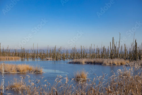 Naturpark Flusslandschaft Peenetal