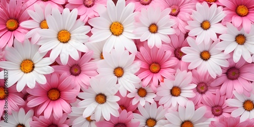 daisies meadow from above close-up, floral pattern background  © Ziyan Yang