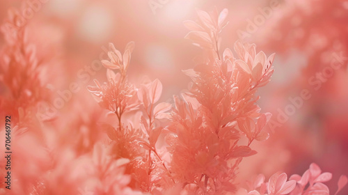 Peach Fuzz color aesthetic and floral background